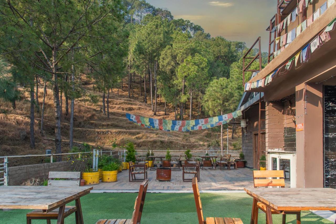 Hillcrest Heights Bed & Breakfast Kasauli Exterior photo