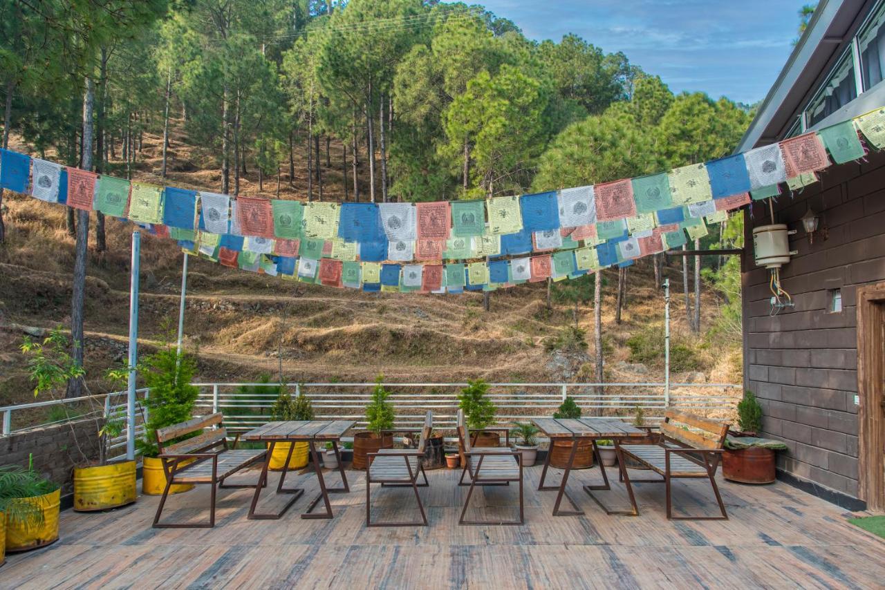 Hillcrest Heights Bed & Breakfast Kasauli Exterior photo